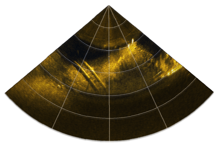 High frequency presents more target details_MiniUAC-FLS800D Dual-Frequency Forward Looking Sonar