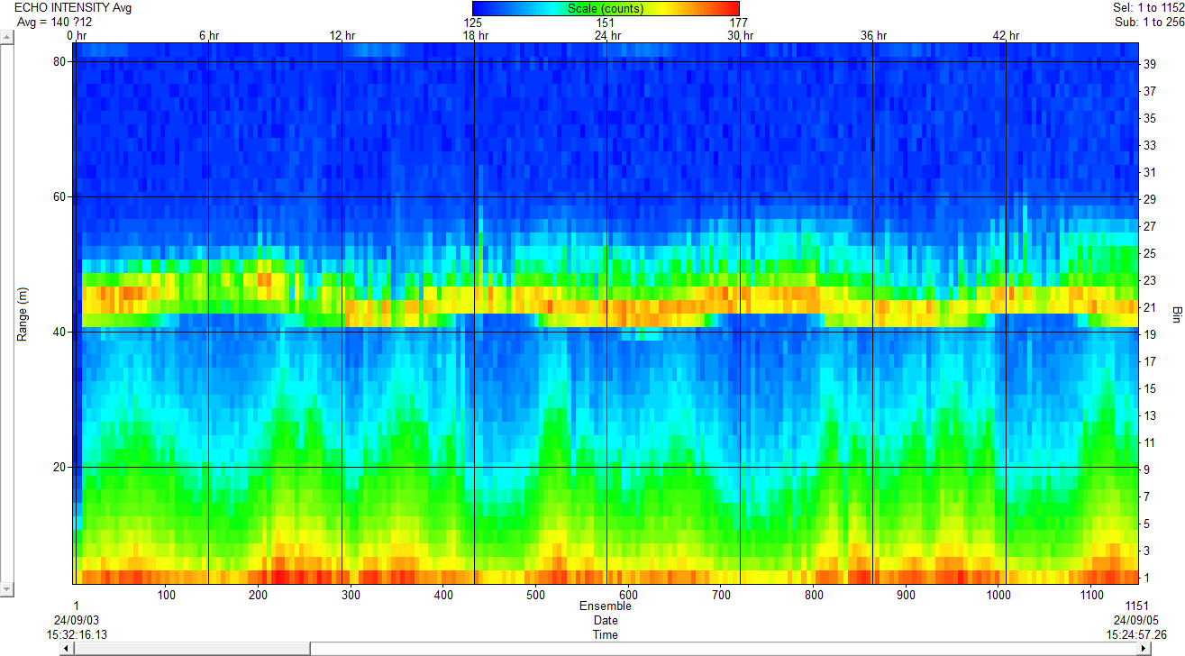 ADCP Echo intensity measurement result.