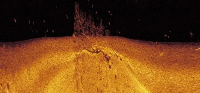 Underwater tree and bait fish (1000KHz)-TFSS-4510-Triple-Frequency Scanning Sonar