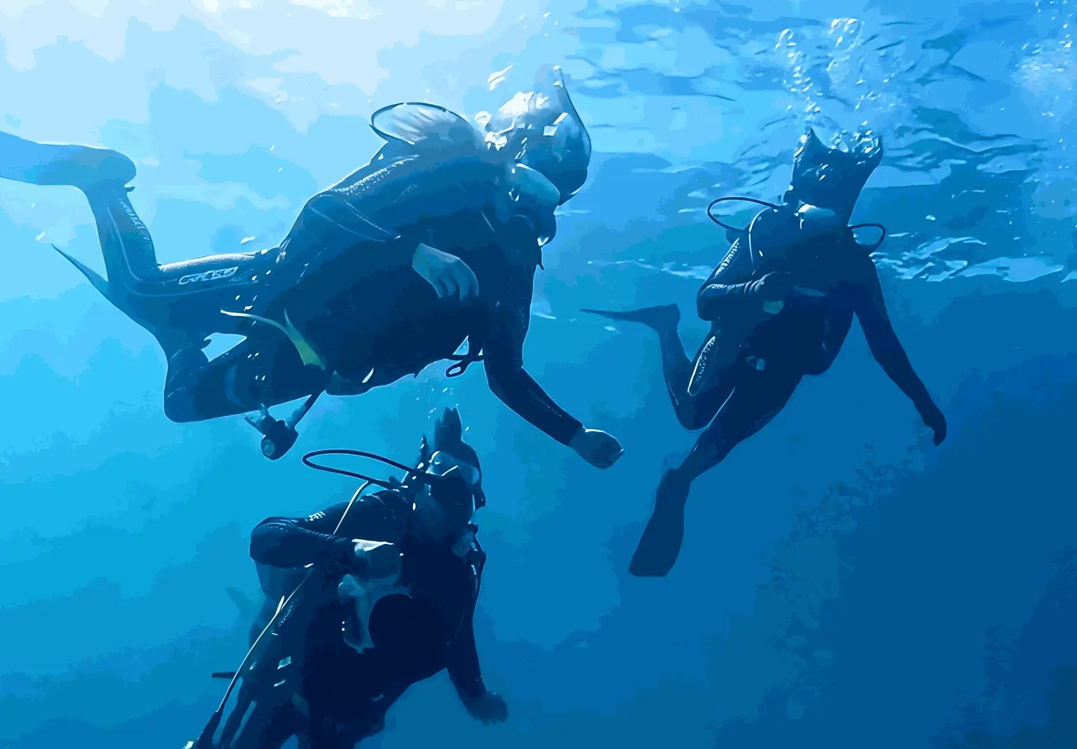 Diver Diving-Diving Support Systerm
